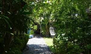 location-maison-bali-kupu-kupu-5.jpg