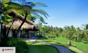 location maison bali kelusa 05