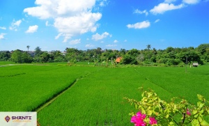 location villa bali kamboja 07