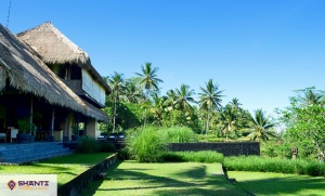 location villa bali kelusa 07