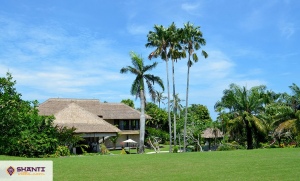 location villa bali palm river 06