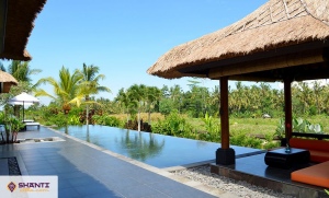 location villa bali rumah lotus 07