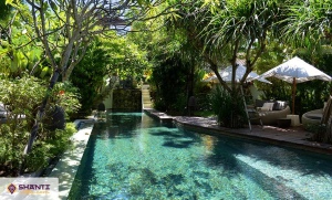 location villa bali shantika 06