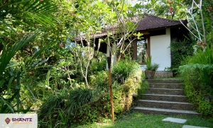 location villa bali umah shanti 09