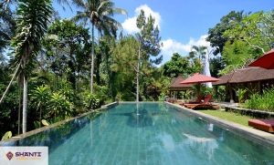 location villa suana air ubud 06