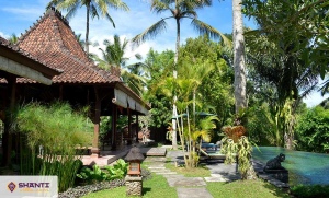 louer maison bali bodhi 14