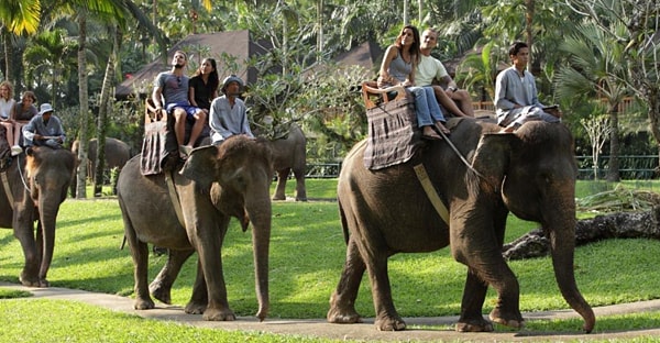 Balade dos elephant Bali