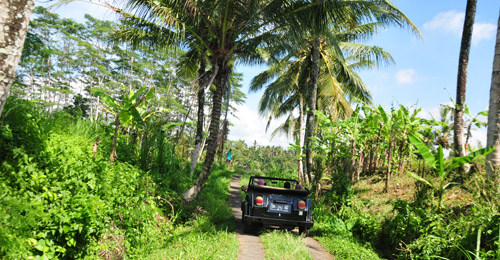 excursion en volkswagen ubud bali