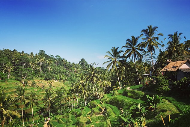 location villa ubud